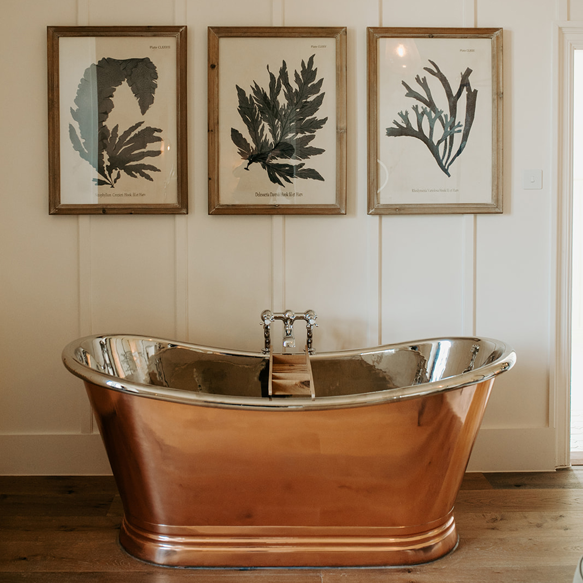 Green Antlers Photography